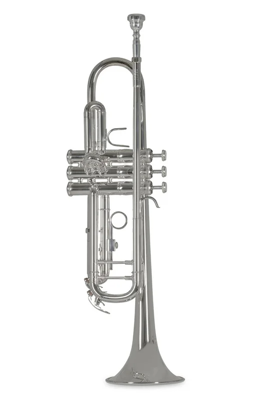 3mmusica-2184637