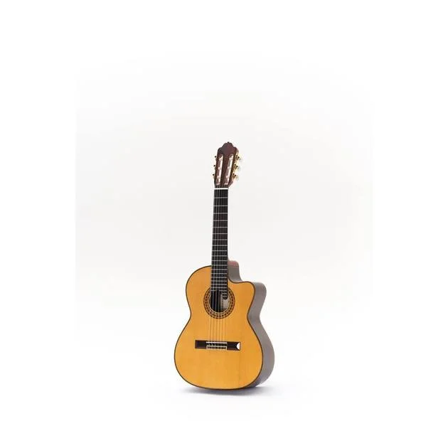 algameko-2259845