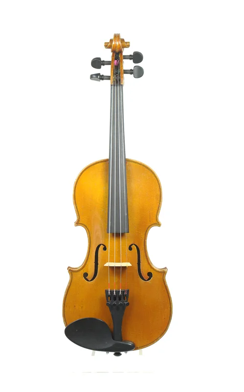 corilon-2163846