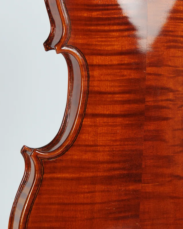 corilon-2163857