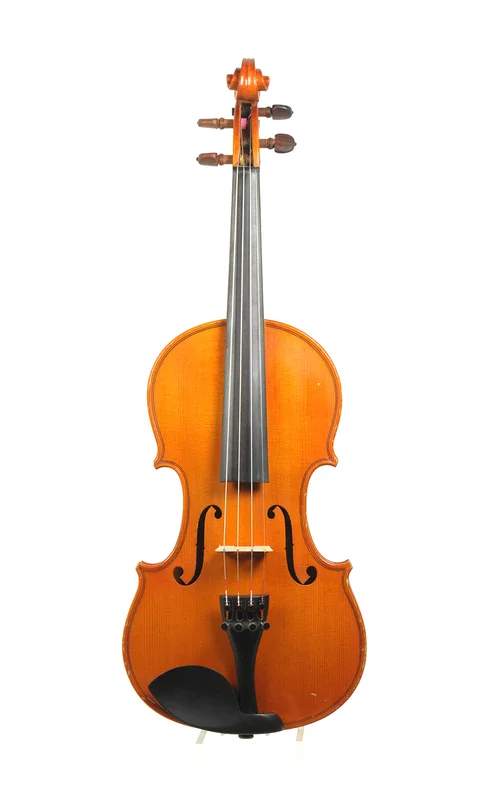 corilon-2163875