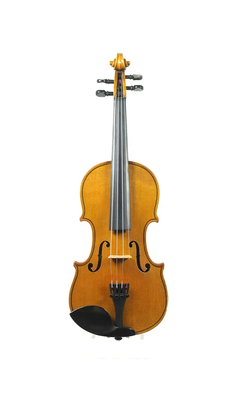 corilon-2163894