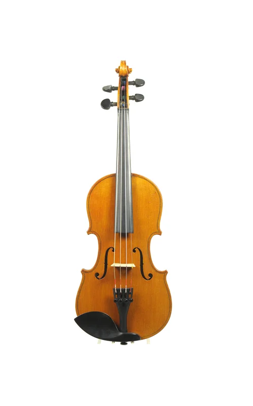 corilon-2163898