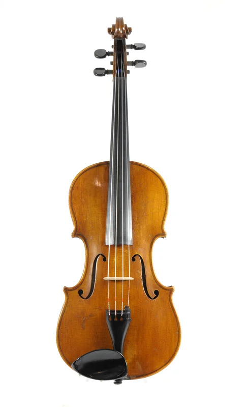 corilon-2164311