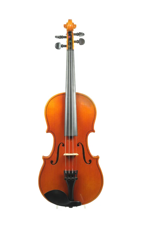 corilon-2164866