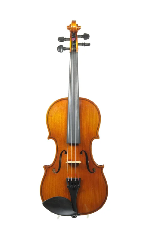 corilon-2164869