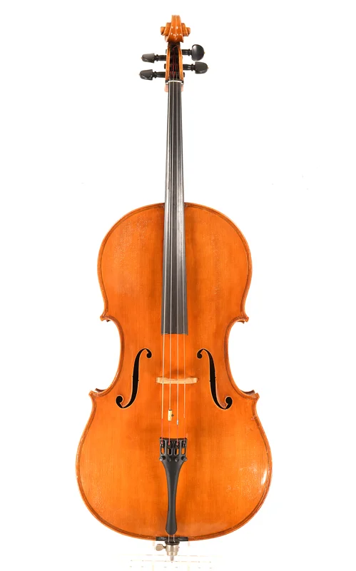 corilon-2164893
