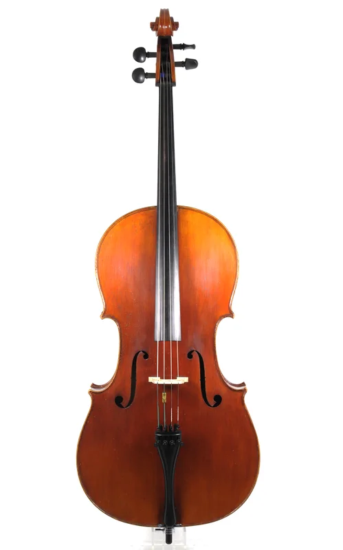 corilon-2165084