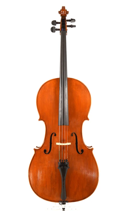 corilon-2165527