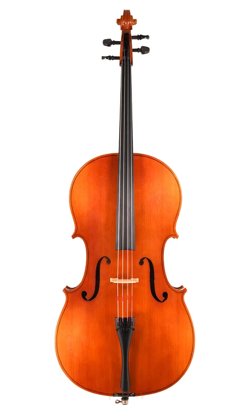 corilon-2165533