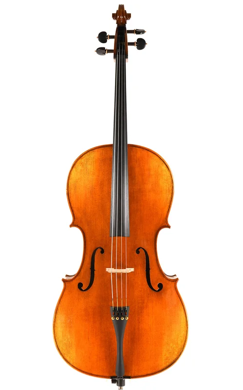 corilon-2165536