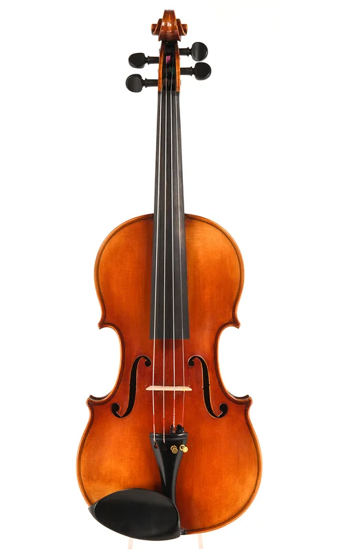 corilon-2165559