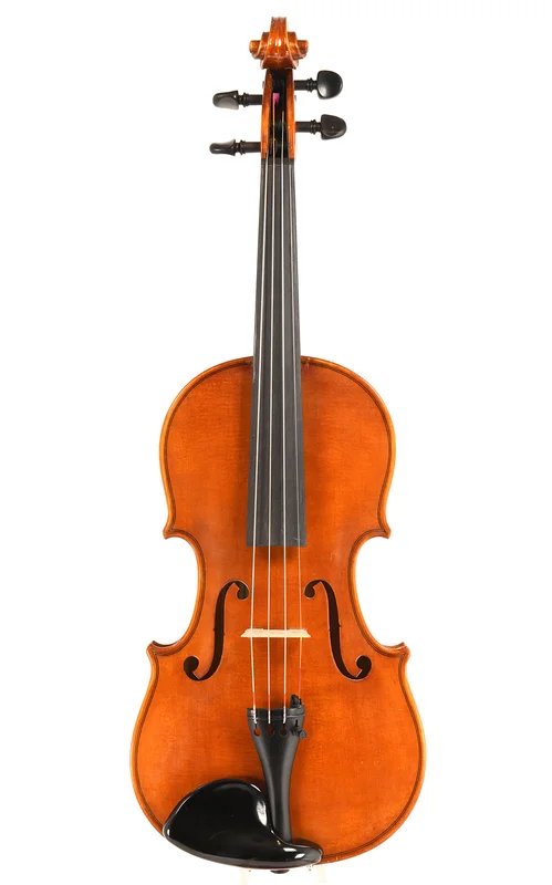 corilon-2165591