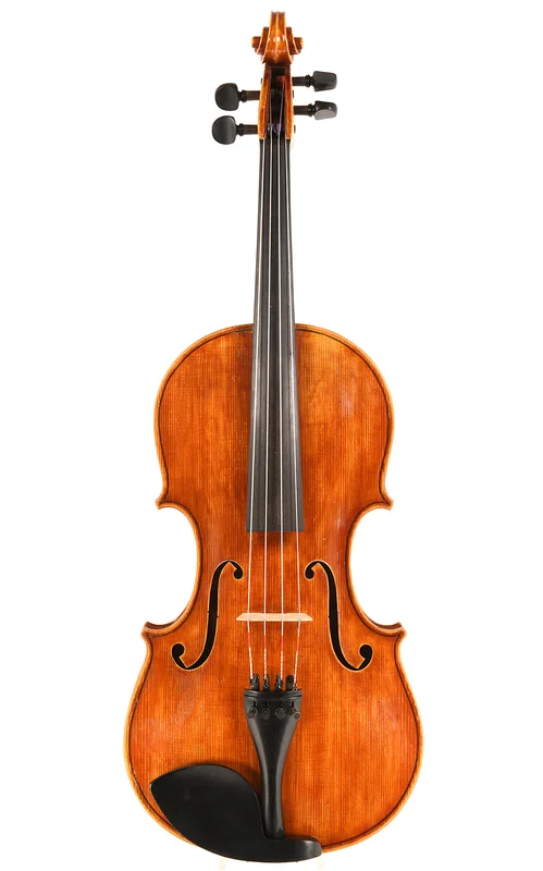 corilon-2165821