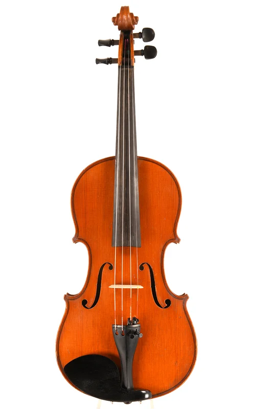 corilon-2165878