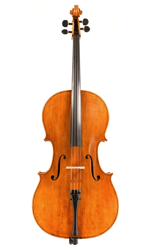 corilon-2165911