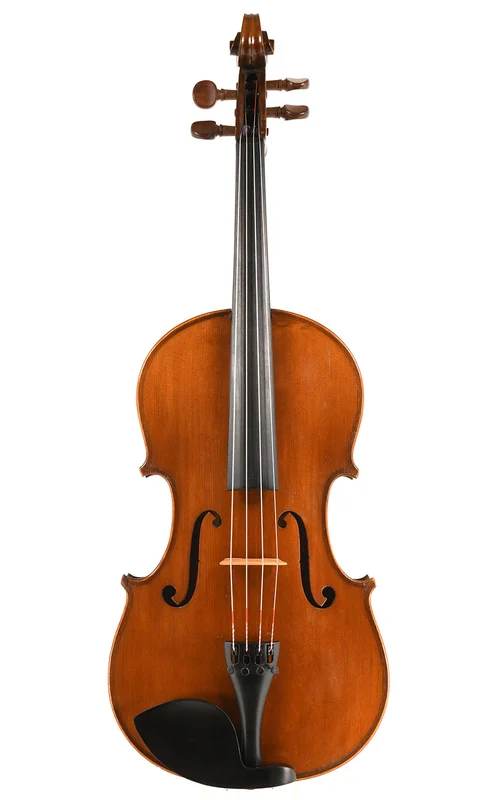 corilon-2165919