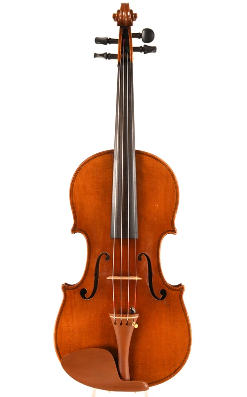 corilon-2165954