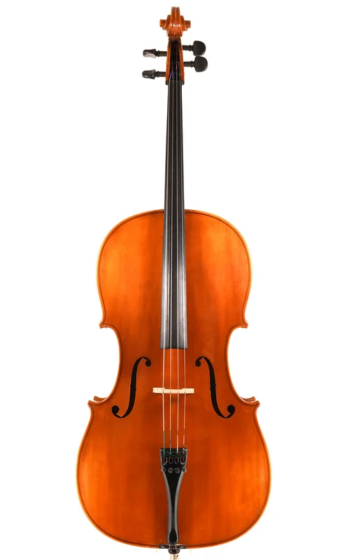 corilon-2166159