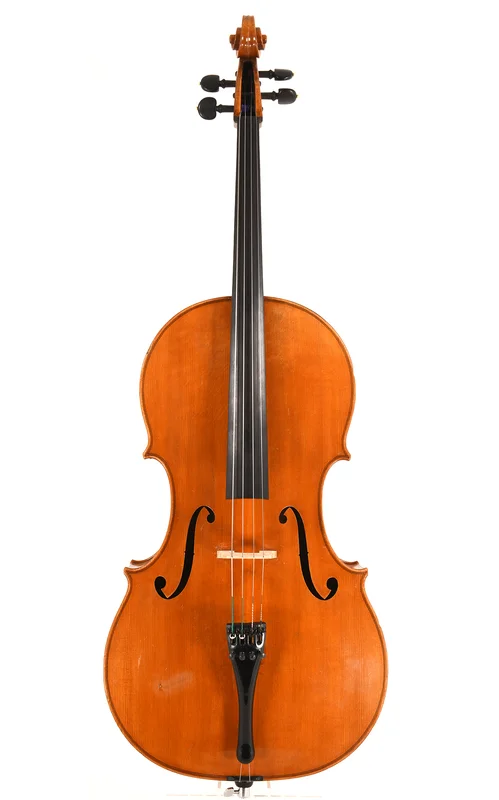 corilon-2166168