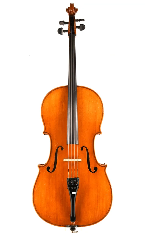 corilon-2166175