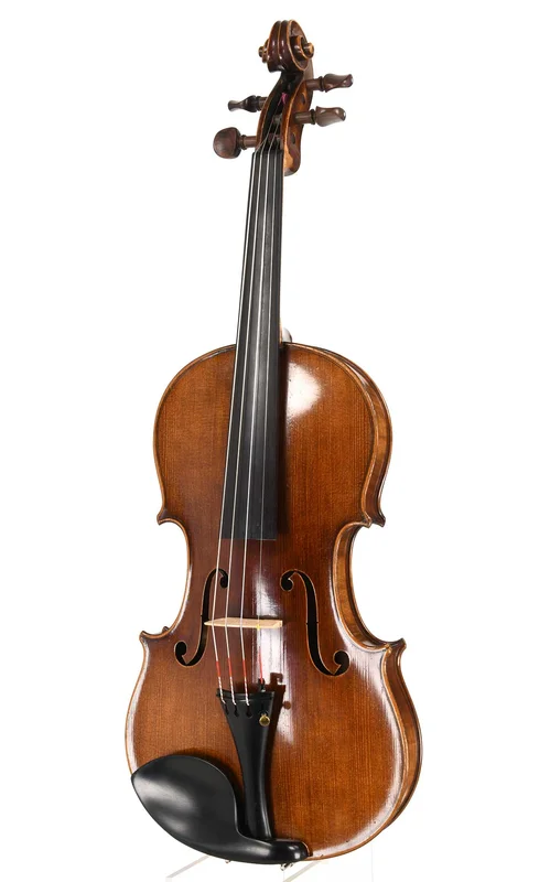 corilon-2166565