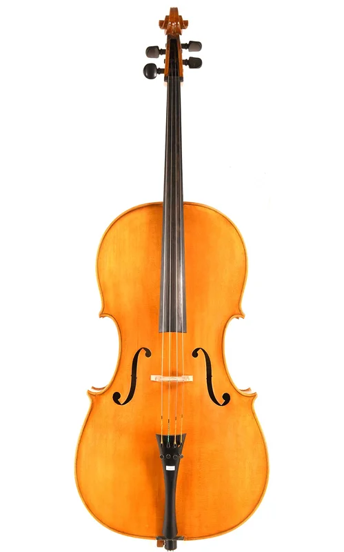 corilon-2166764