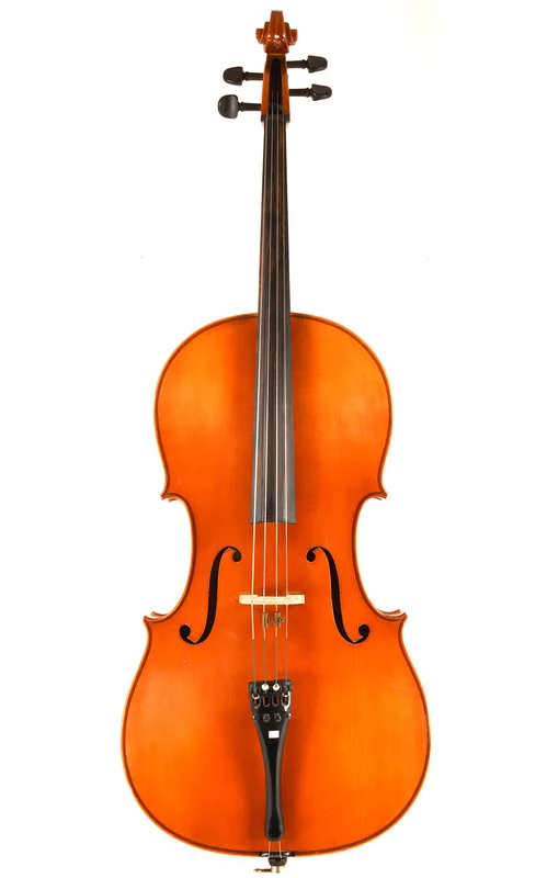 corilon-2166867