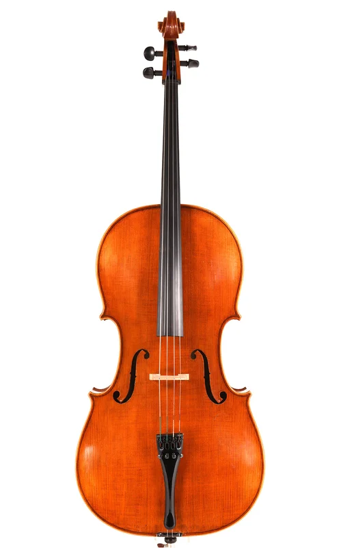 corilon-2166877