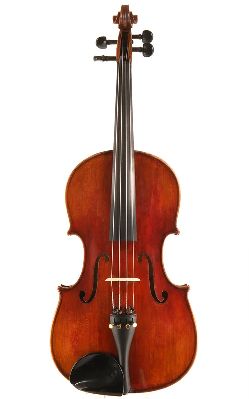 corilon-2166938