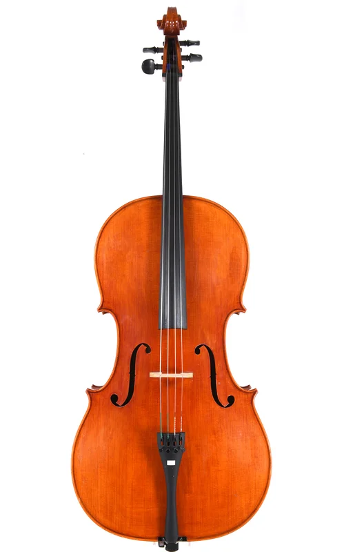 corilon-2167327