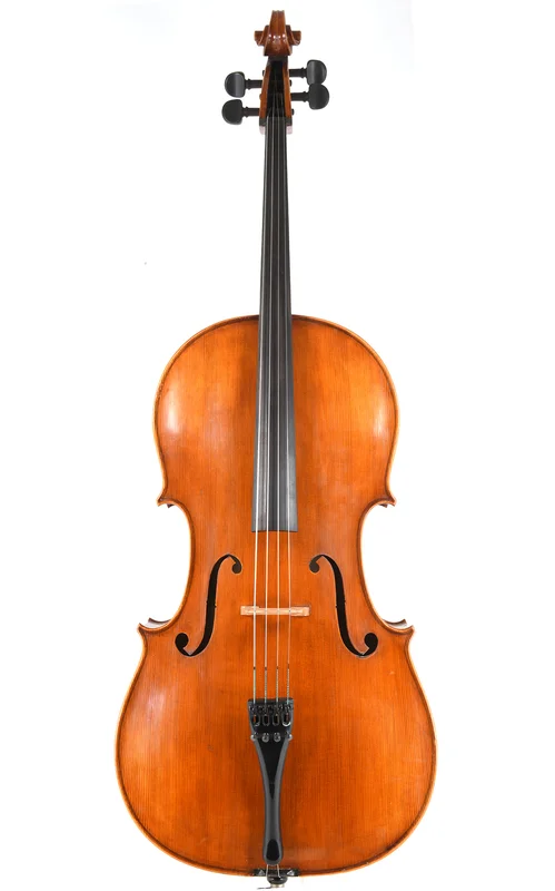 corilon-2167484