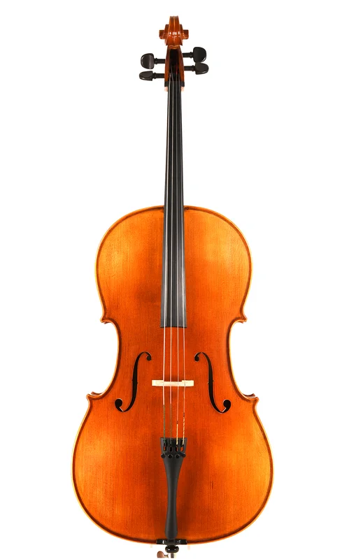 corilon-2167612