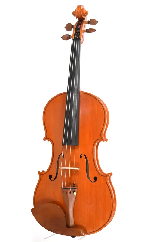 corilon-2167663