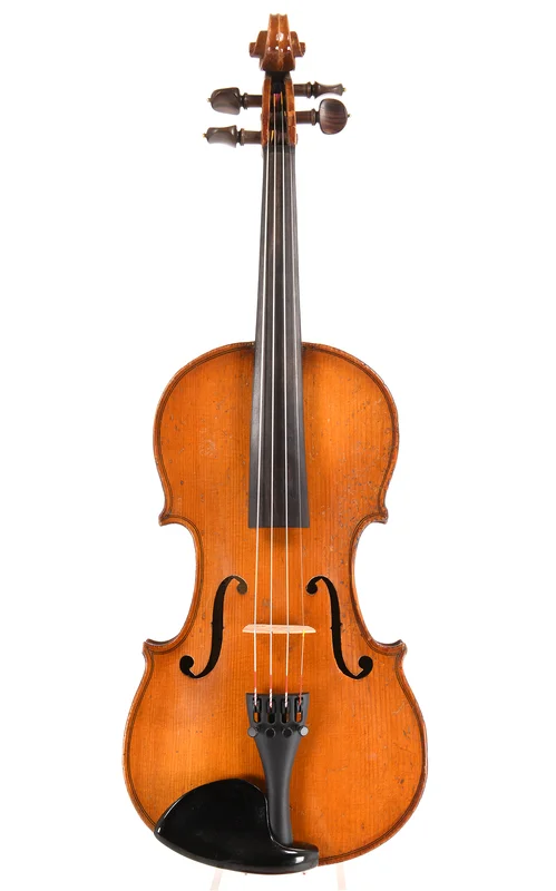 corilon-2167721