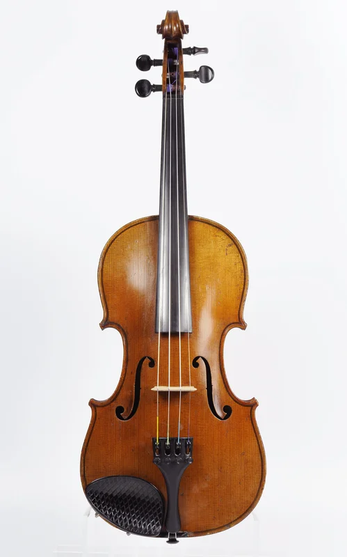 corilon-2167838