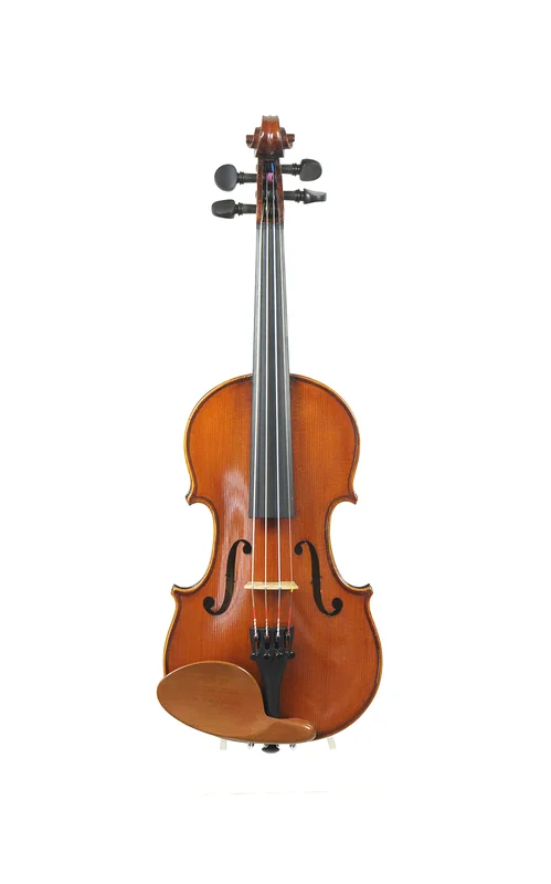 corilon-2167896