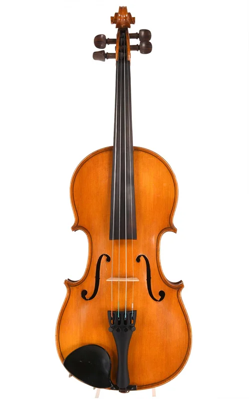 corilon-2167899