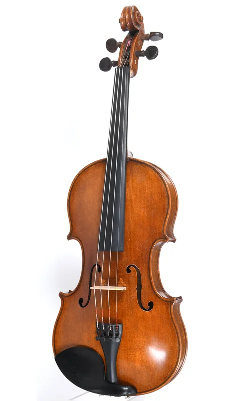 corilon-2168124
