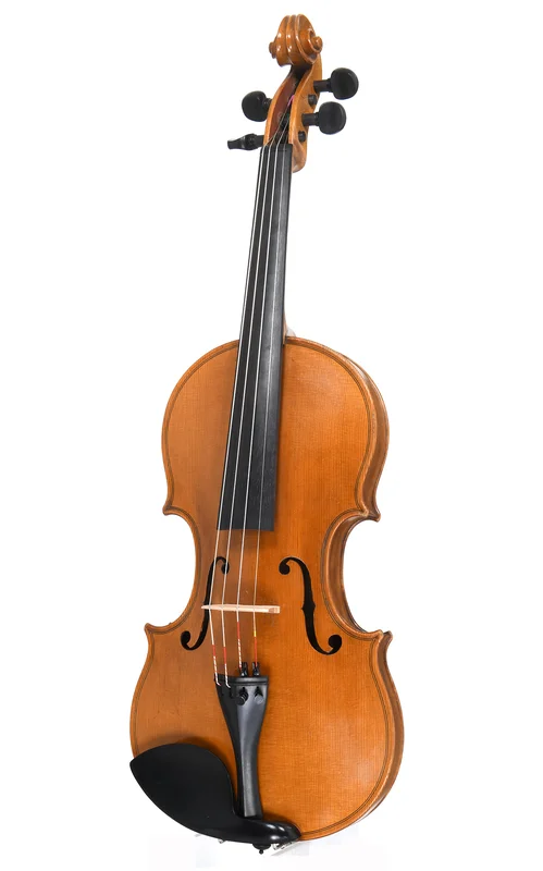 corilon-2170846
