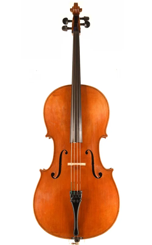 corilon-2171195