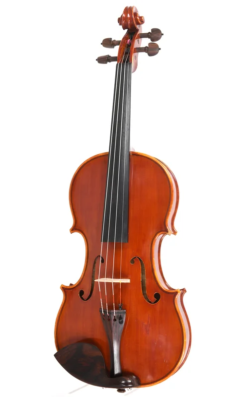 corilon-2171224