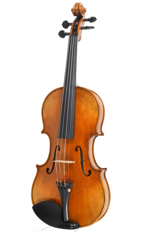 corilon-2171414