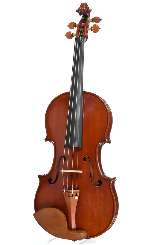 corilon-2171564