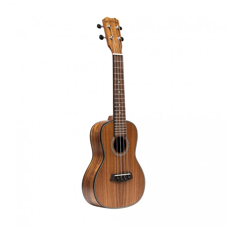 danysmusicshop2197770