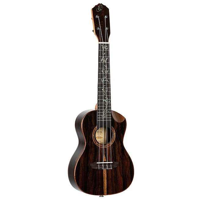 danysmusicshop2202015