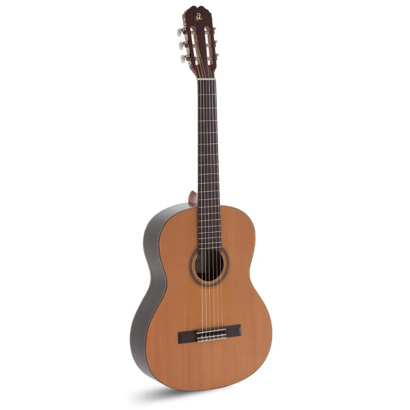 danysmusicshop2202055