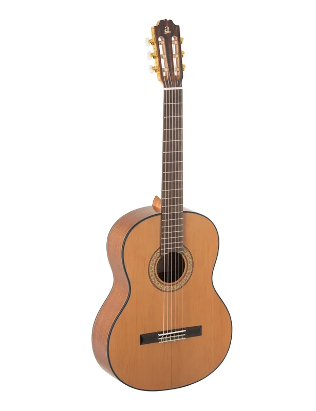 danysmusicshop2202111