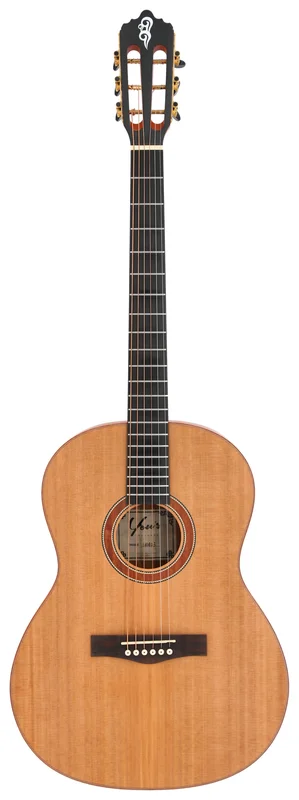 danysmusicshop2202212