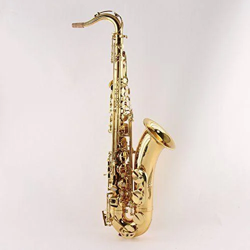 ilcappellaiomattomusica-2175156